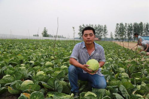 四、 促销手段，让你的菜更受欢迎