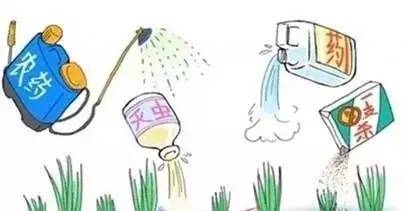 探索神秘：哪种碱性农药成分的除草剂在土壤中表现出强pH调节作用？