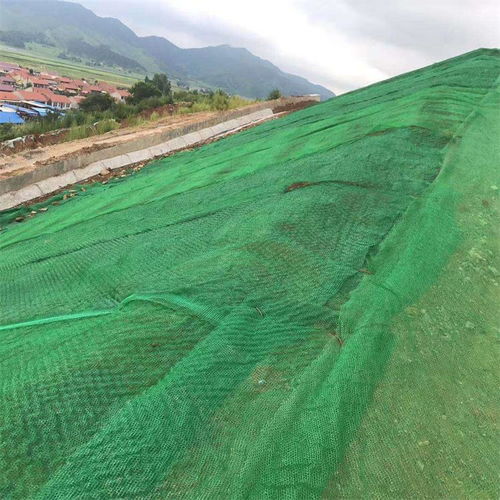 比深根草固土梗便宜的固坡方法