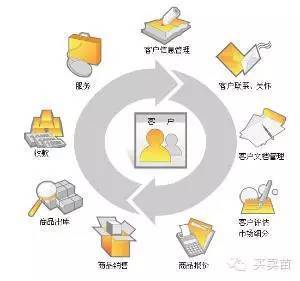 苗木规格科学化趋势