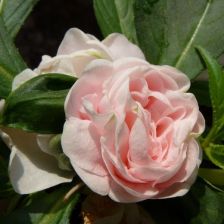 一、选种时间有讲究