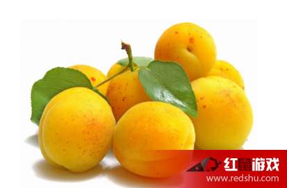 杏子催芽，湿毛巾真的有用吗这个？