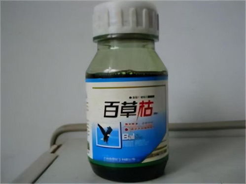 百草枯：毒蛇般的致命诱惑