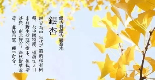 四、冬季养护，保障生态美景