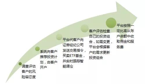 茶叶代理投资指南：茶油经销商资金与入门要求速览
