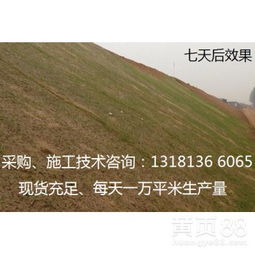 护坡绿化工程的作用