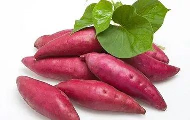 番薯的根茎魅力