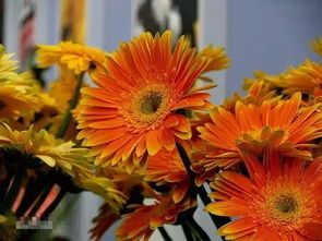 独家数据大放送