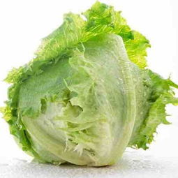 惠农网，专业种子的聚集地