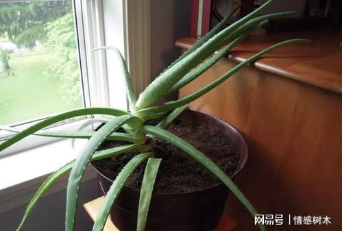 瓦片破碎，常见方法