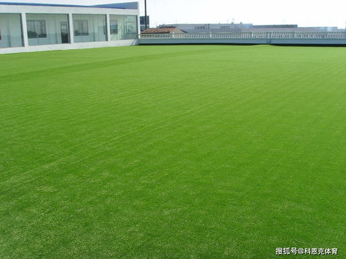 草坪种植的奇妙世界