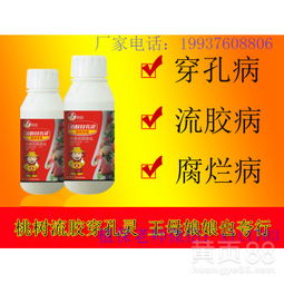 枇杷树专用杀虫剂，哪种效果最佳