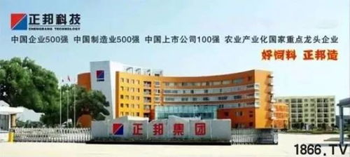 山东蓝大饲料厂有几家？在山东饲料厂排名中位于什么位置？