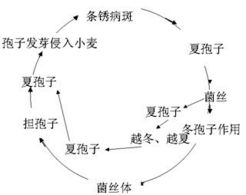 防治源头， 从哪里入手