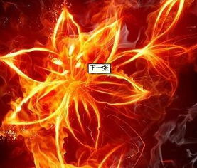 宝路先正达：水稻的“健康守护者”