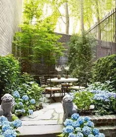 庭院种植香樟树为何容易变脏？