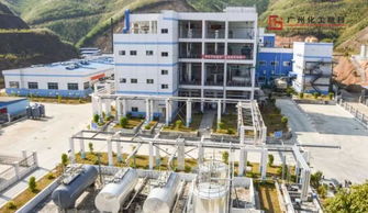 公司的发展历程