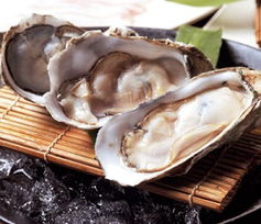 牡蛎能否生吃，其安全性及食用方法引关注