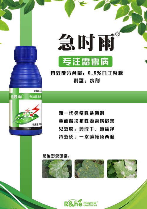 效果：各有千秋， kan你怎么用