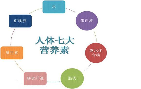 饲料中蛋白质、脂肪、维生素等营养物质如何相互作用，共同影响饲料质量？