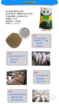 高端乳猪教槽料配方正宗乳猪饲料价格表，哪种品牌性价比更高？