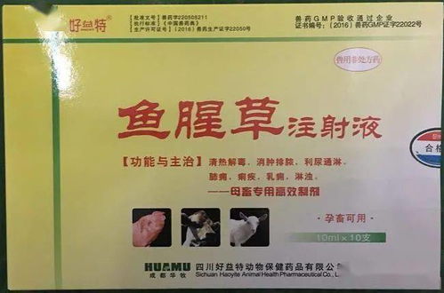 猪后腿站立不稳是瘫痪吗？该如何治疗