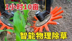 请问有哪些微型农业机械设备和小型农机具的图片大全？