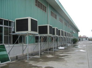 猪圈建设：选址、通风、环保