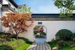 家门口种柳树，宅院绿化新选择！