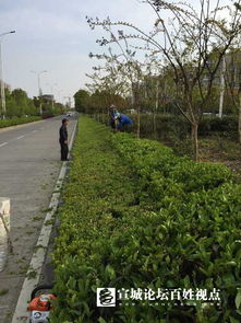 南北差异：不同的绿色风情