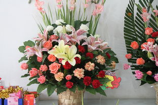 花卉对环境的影响