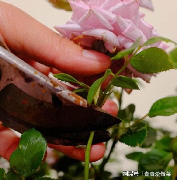 伤口处理，别大意