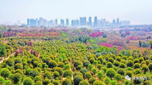 3. 推动产业提质增效