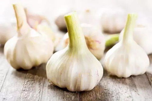 沙蒜功效显著，哪些人不宜食用