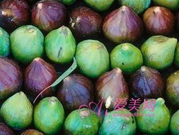 无花果功效多，助消化抗疲劳