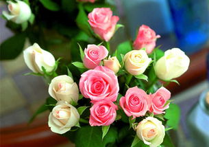 好价信息kan这里：比比kan谁geng划算