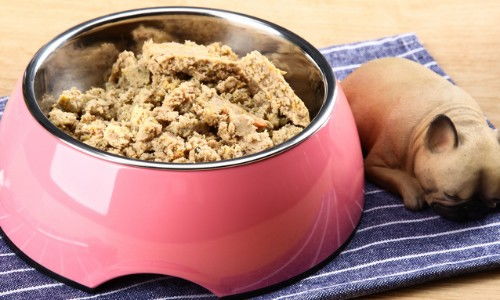 饲料霉菌毒素检测标准2018中，玉米饲料中T-2毒素的限量是多少？