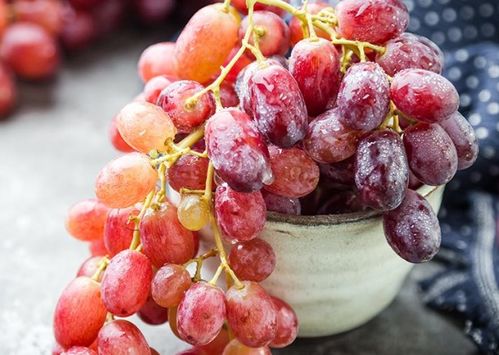 红提籽的营养价值高吗？如何食用红提籽以获取其好处