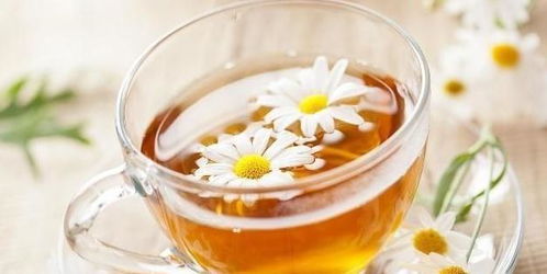 菊花茶清热解毒，你知道还有哪些功效吗