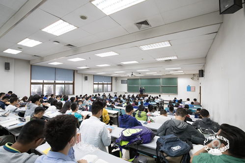 8月30日，创新种猪场育成舍管理技术研讨