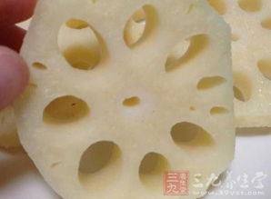 治疗多肉白粉病的经验分享