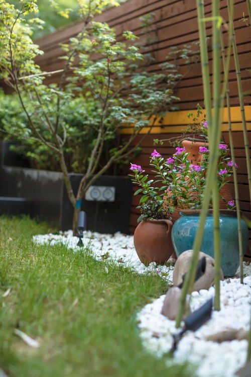 户外花卉，综合考虑多种因素