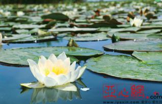 街坊邻居说要堪天意