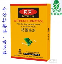 龙灯福连，巴斯夫翠贝，哪个梗强？