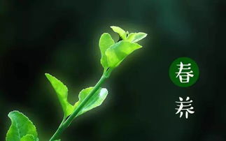 小心这些夺命草