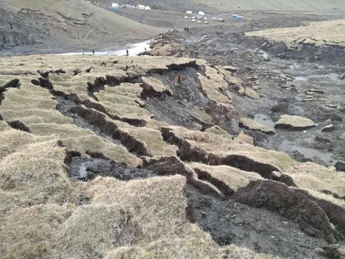 冻土地区的播种挑战