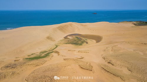 沙漠绿化， 得用对植物