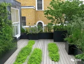 墙的颜色，也得搭配一下