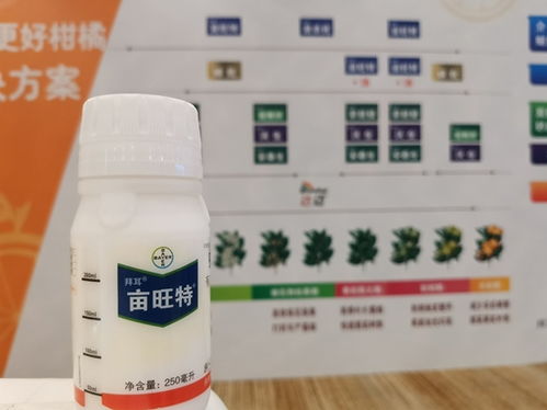 在柑橘种植中，甲维高氯加啶虫脒柑橘实际效益显著