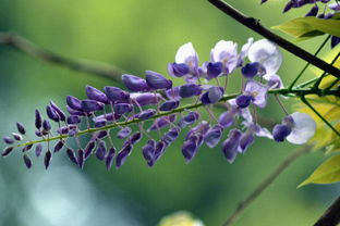 防虫要未雨绸缪